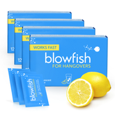 Four Box Bundle
